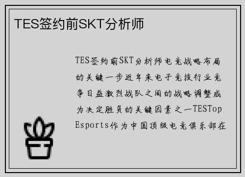 TES签约前SKT分析师