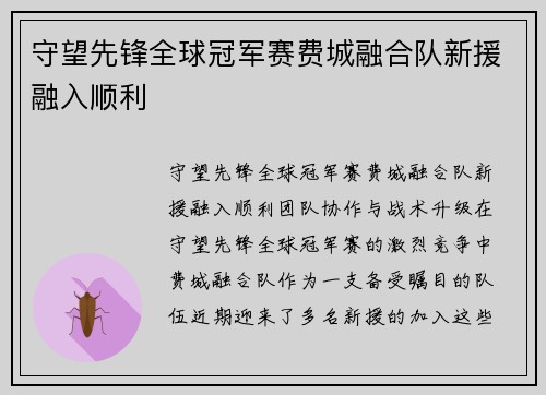 守望先锋全球冠军赛费城融合队新援融入顺利